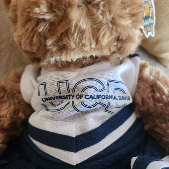 NORTH STARS CHELSEA TEDDY BEAR New with tag Dressed in Blue/White Cheerleader - Picture 3 of 4